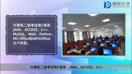 計(jì)算機(jī)等級(jí)考試一二三四級(jí)與專業(yè)方向的差異分析